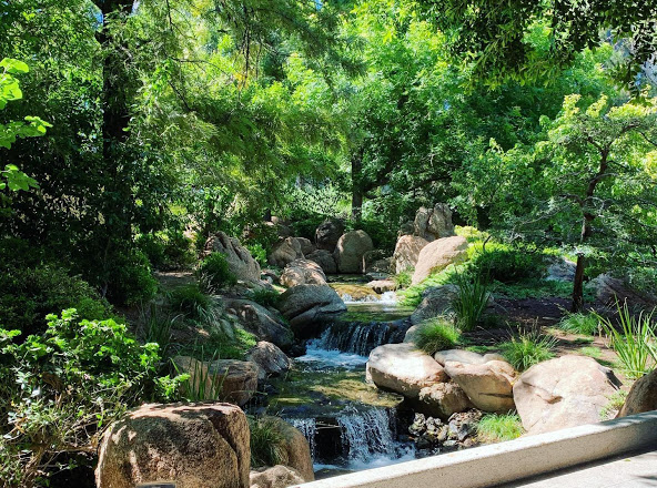 Photo 3 at Japanese Friendship Garden of Phoenix in Phoenix