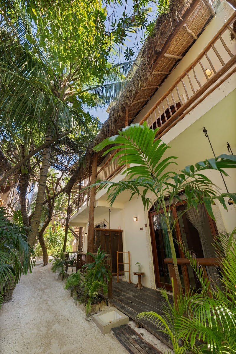Photo 6 at Playa Canek Beachfront Eco Hotel in Tulum