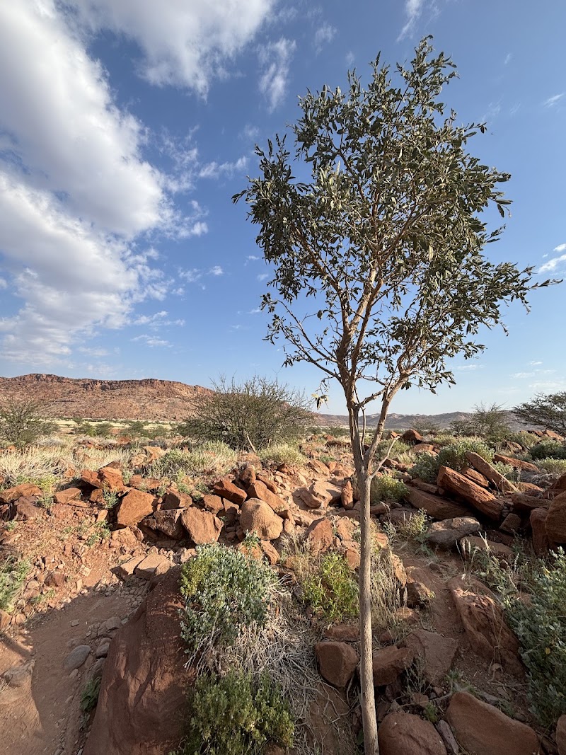 Photo 5 at Twyfelfontein Visitors Centre in D3214