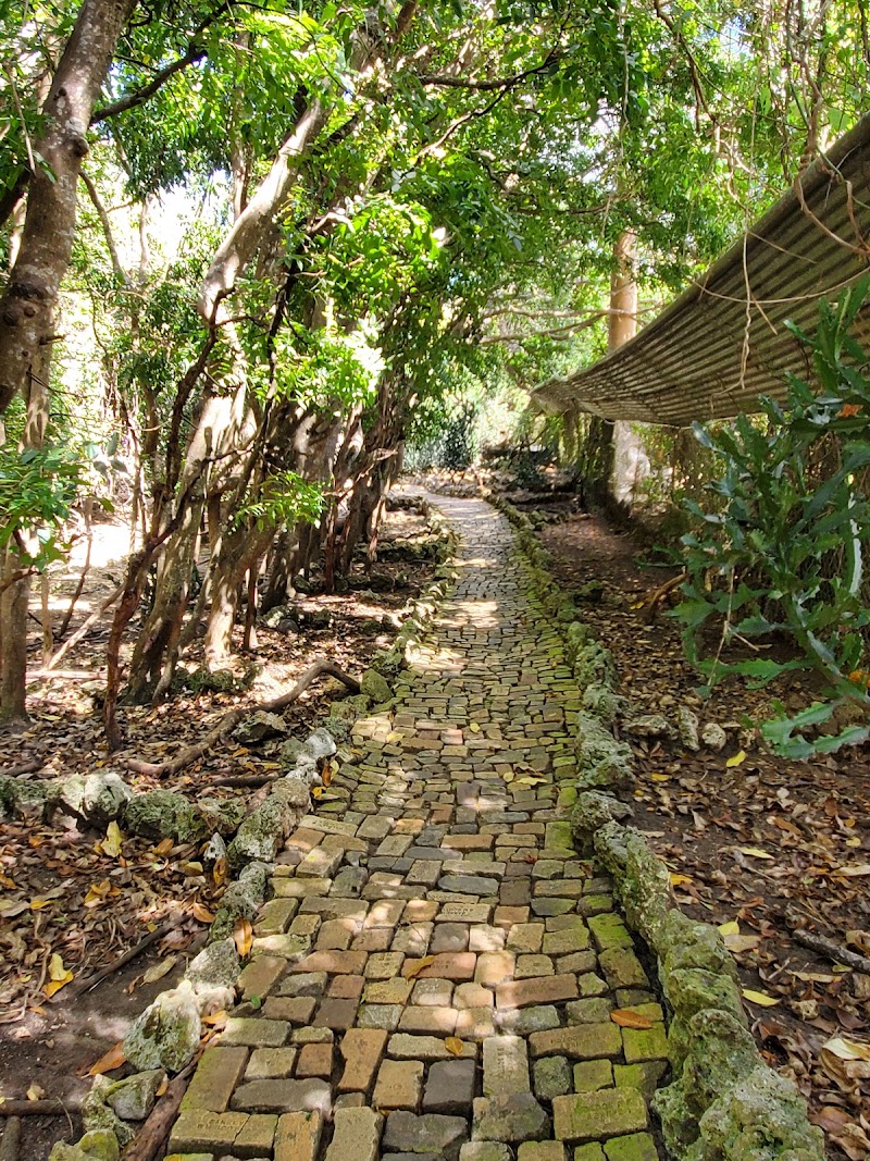 Photo 1 at Barbados Wildlife Reserve in Benny Hall