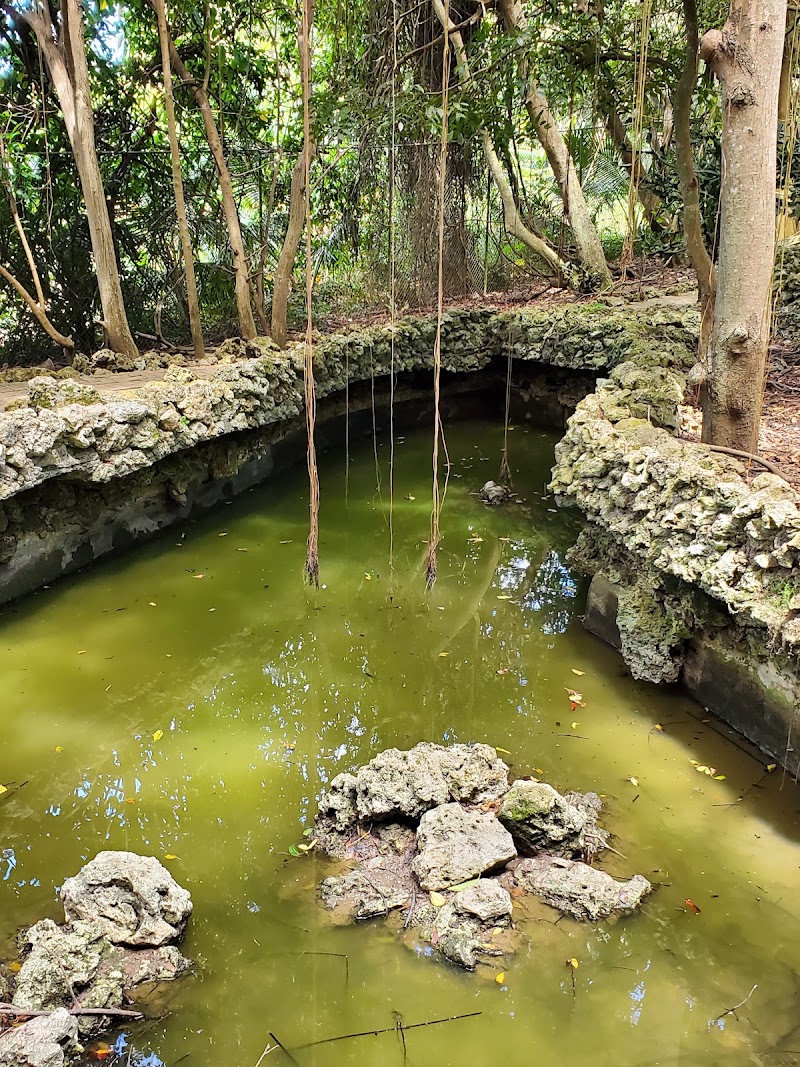 Photo 2 at Barbados Wildlife Reserve in Benny Hall