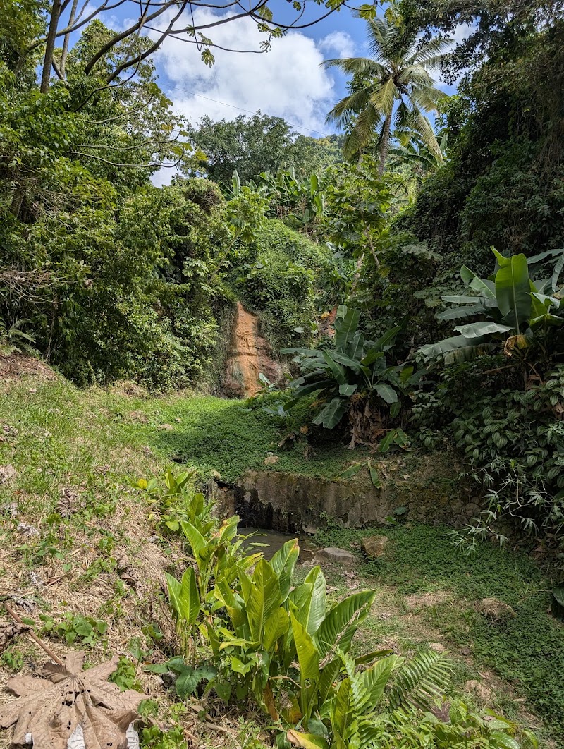 Photo 6 at Superman Waterfalls Eco Tours - Hiking Adventure Park in Malgretoute
