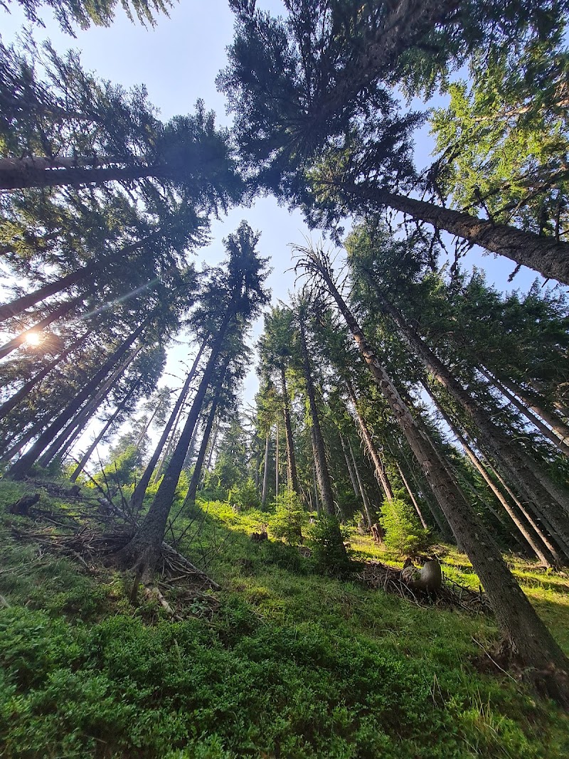 Photo 1 at Nevyastata Ecotrail in Smolyan