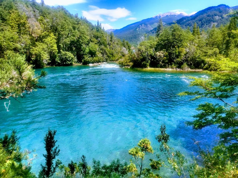 Parque Nacional Los Alerces in 