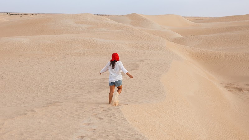 Photo 6 at WildyNess in Tunis