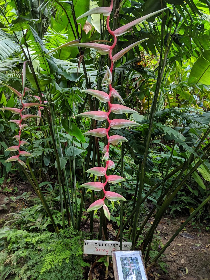 Photo 2 at Diamond Falls Botanical Gardens & Mineral Baths in WI