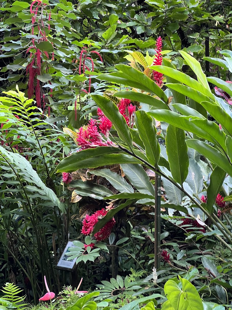 Photo 3 at Diamond Falls Botanical Gardens & Mineral Baths in WI