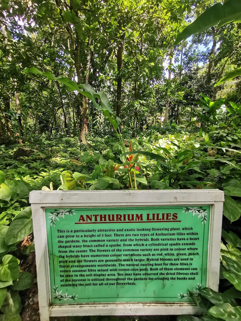 Photo 4 at Diamond Falls Botanical Gardens & Mineral Baths in WI