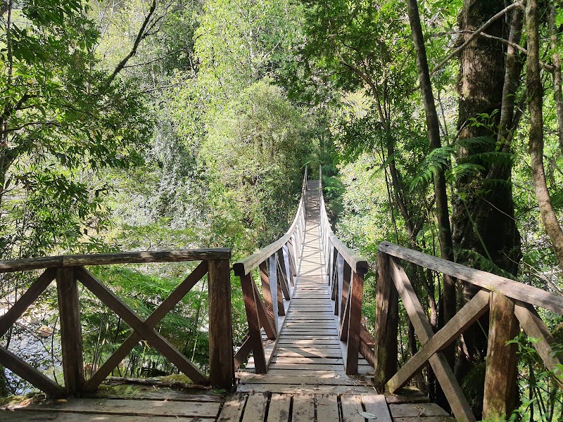 Photo 4 at Parque Nacional Douglas Tompkins in Chaitén