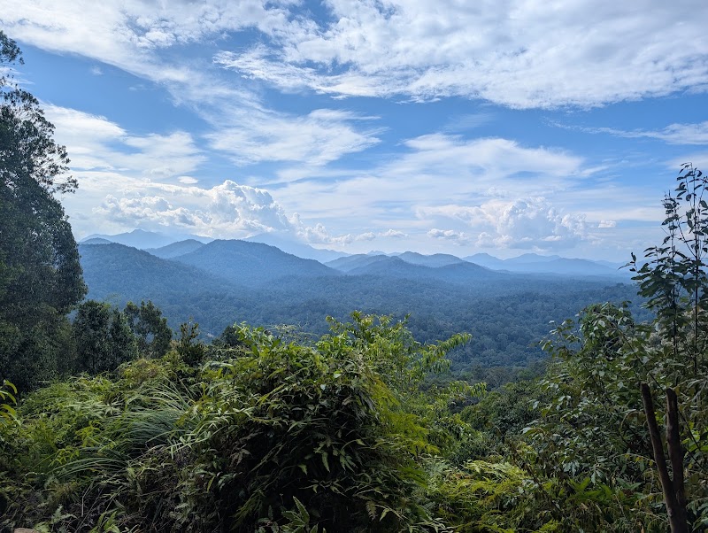 Taman Negara in 