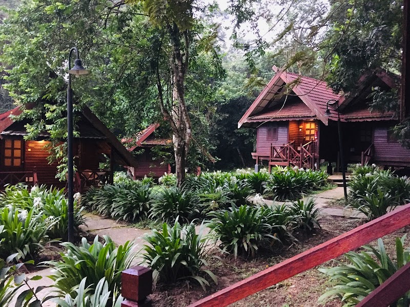 Photo 5 at Taman Negara in 
