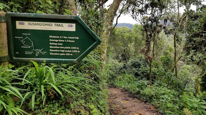 Photo 6 at Nyungwe National Park in 