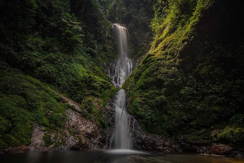 Photo 4 at Nyungwe National Park in 