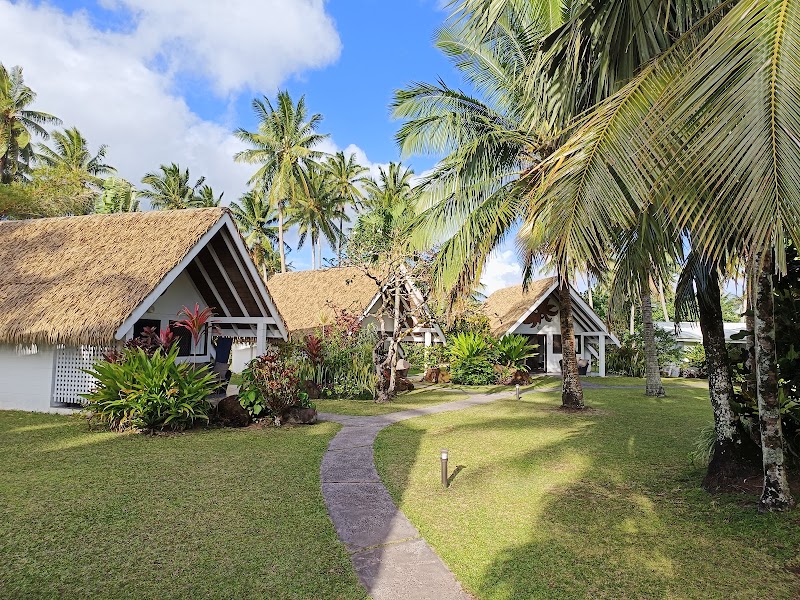 Palm Grove in Rarotonga
