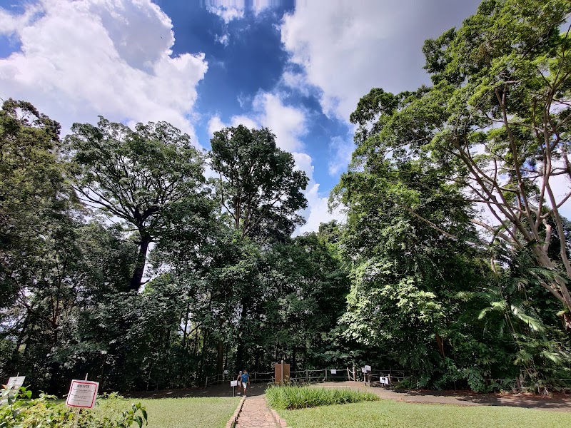 Photo 6 at Bukit Timah Nature Reserve in Singapore