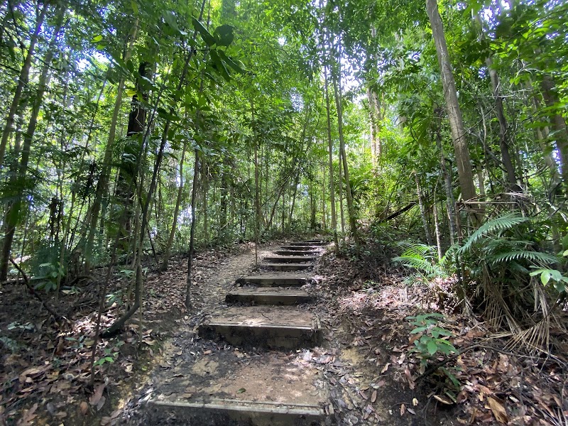 Photo 1 at Bukit Timah Nature Reserve in Singapore