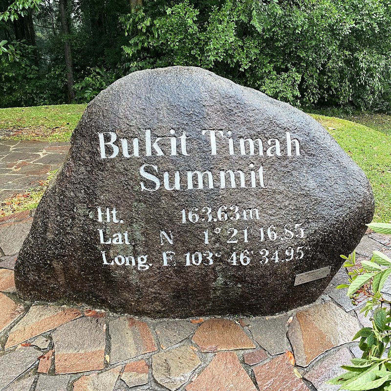 Photo 4 at Bukit Timah Nature Reserve in Singapore
