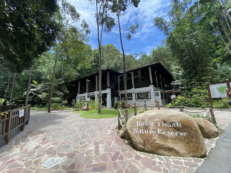 Photo 5 at Bukit Timah Nature Reserve in Singapore