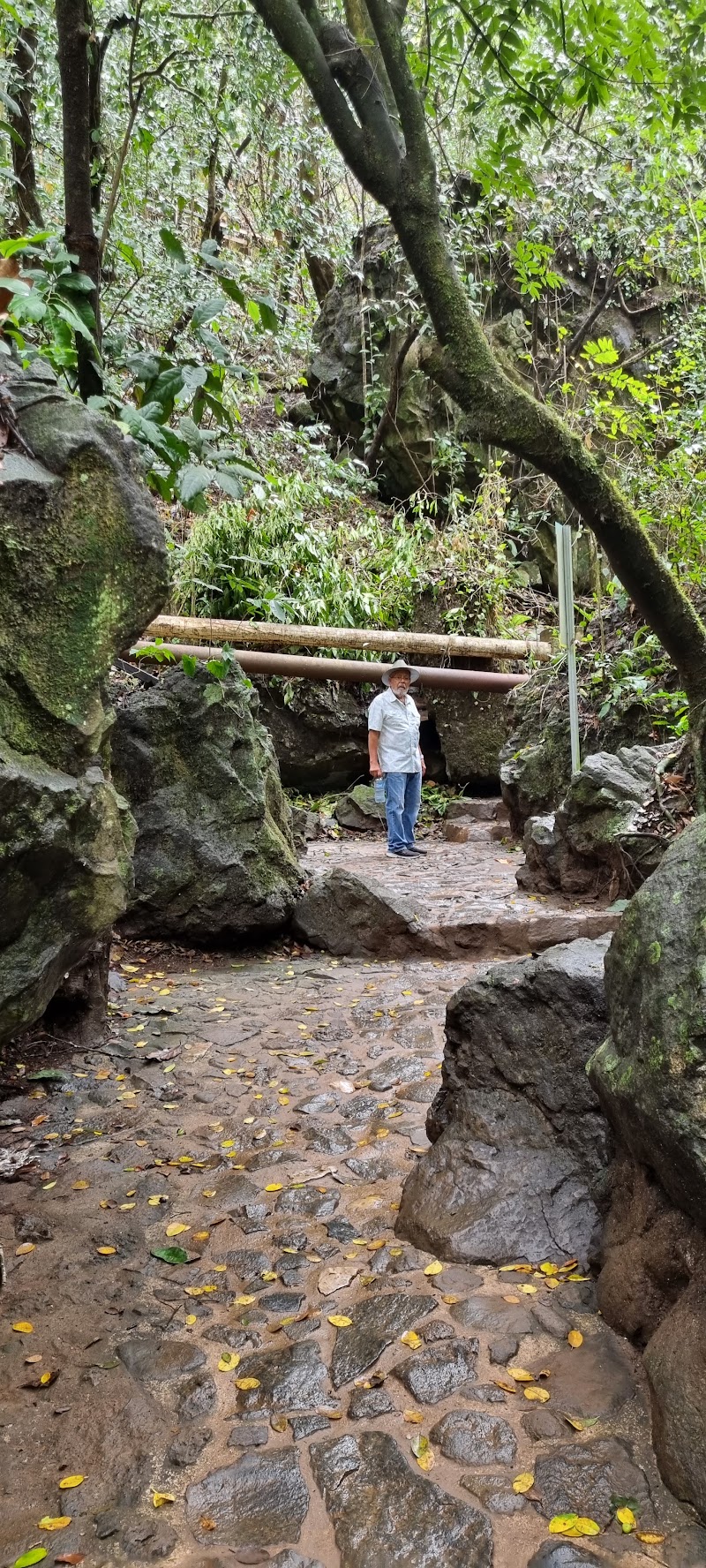 Photo 3 at Puente de Dios in Tamasopo