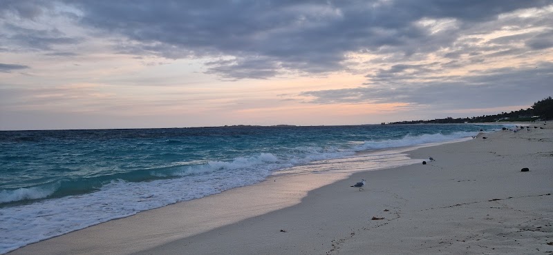 Photo 1 at Paradise island Bahamas in Nassau