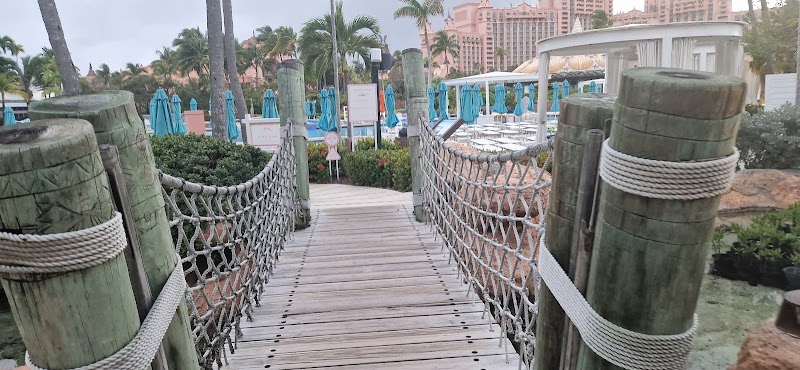 Photo 5 at Paradise island Bahamas in Nassau