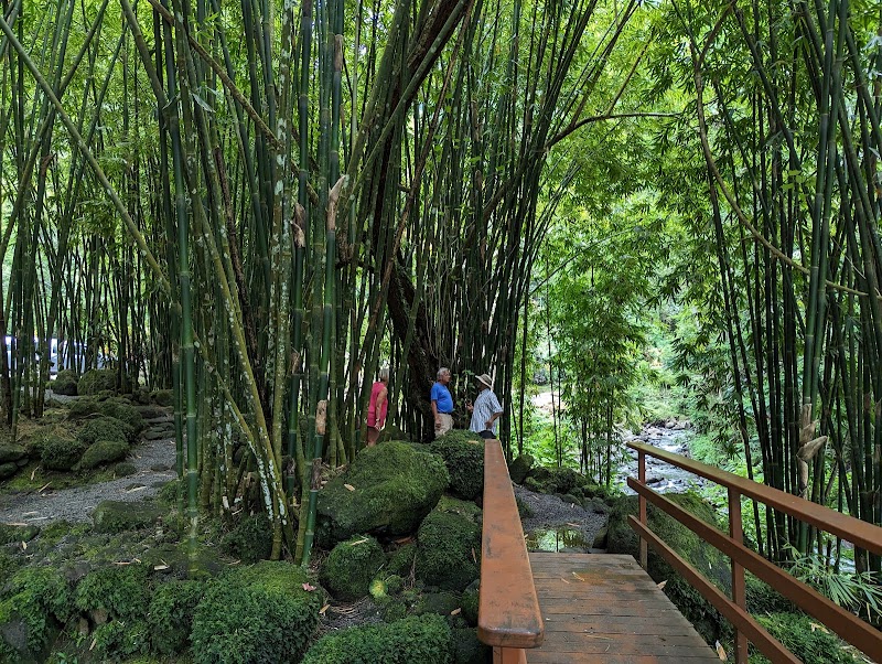 Photo 3 at Cascades de Faarumai in Hitiaʻa O Te Ra
