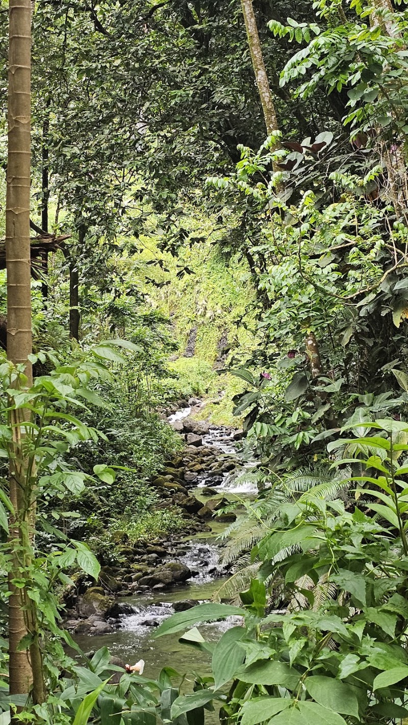 Photo 1 at Cascades de Faarumai in Hitiaʻa O Te Ra