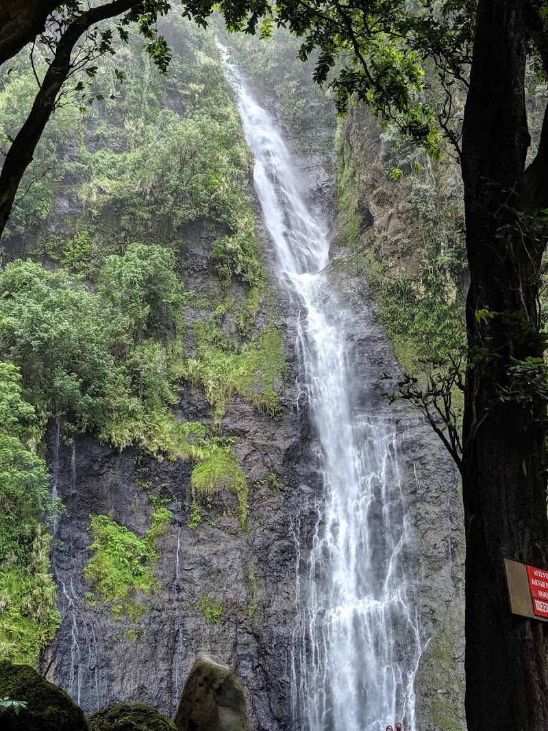 Photo 5 at Cascades de Faarumai in Hitiaʻa O Te Ra