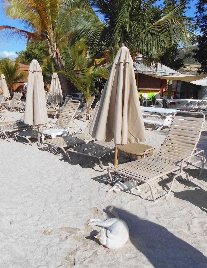 Cockleshell Bay Beach in Saint-Christophe