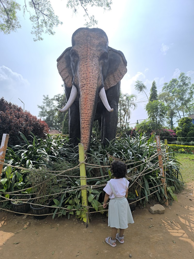 Photo 3 at Raja Seat Garden in Madikeri