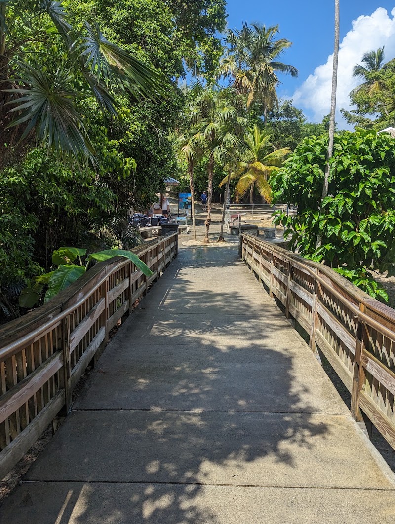 Photo 5 at Trunk Bay Plantation Ruins in 
