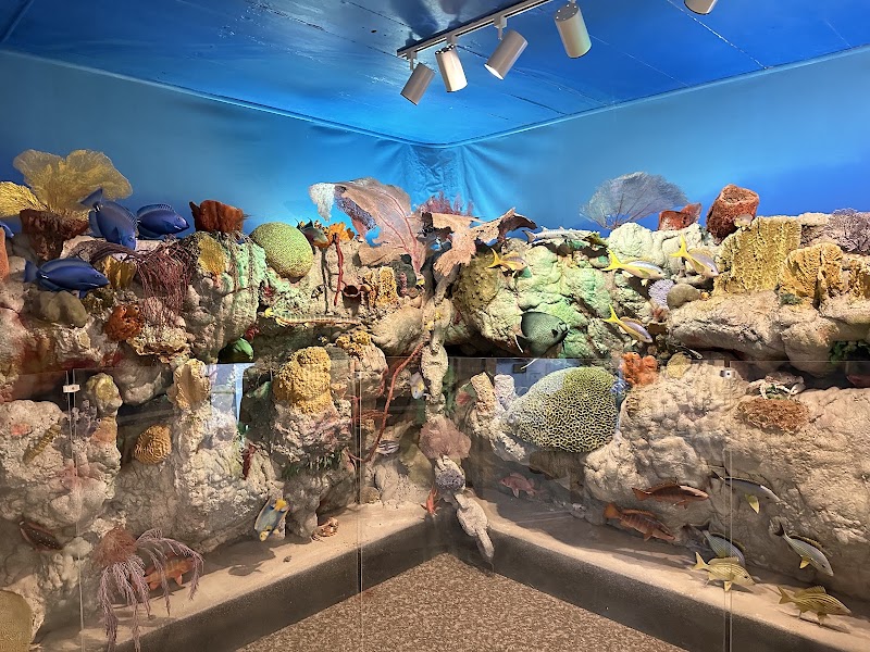 Photo 5 at Turks and Caicos National Museum in Cockburn Town