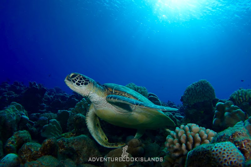 Photo 1 at Adventure Cook Islands Ltd in Rarotonga