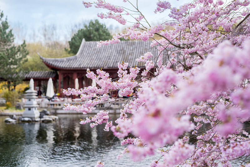 Gardens of the World in Berlin