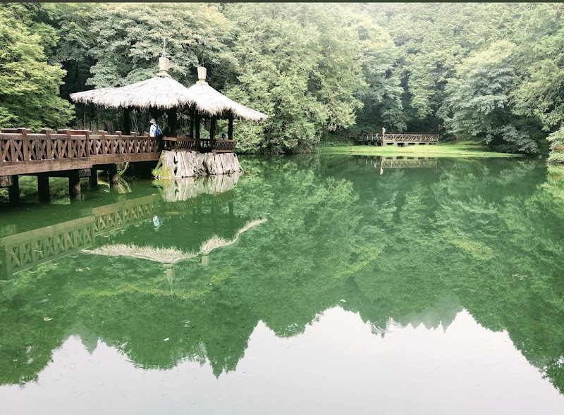 Alishan National Forest Recreation Area in 