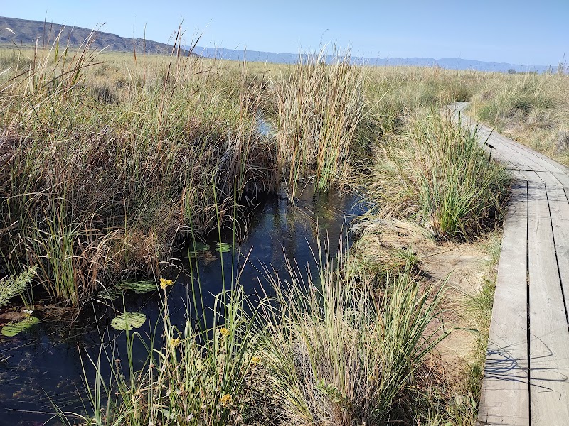Photo 3 at Área de Protección de Flora y Fauna Cuatrociénegas in Cuatro Ciénegas de Carranza