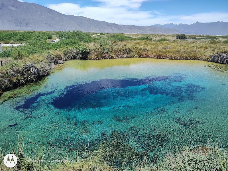 Área de Protección de Flora y Fauna Cuatrociénegas in Cuatro Ciénegas de Carranza