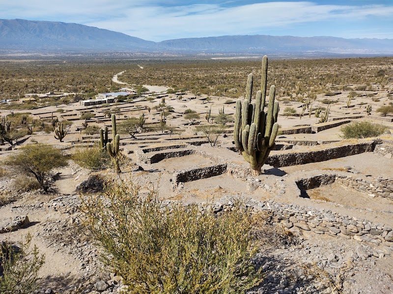 Quilmes Ruins in Quilmes