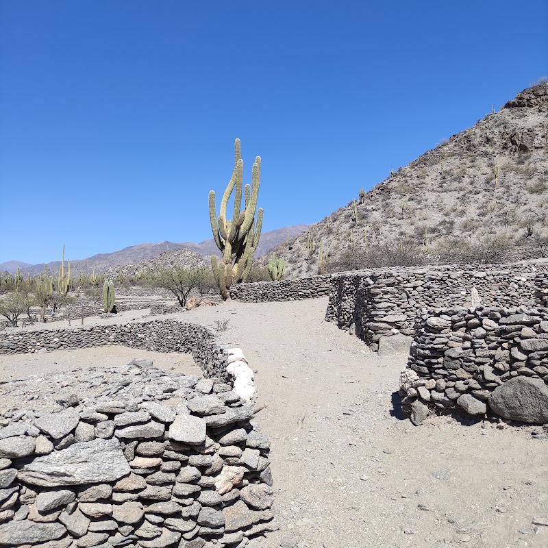 Photo 6 at Quilmes Ruins in Quilmes