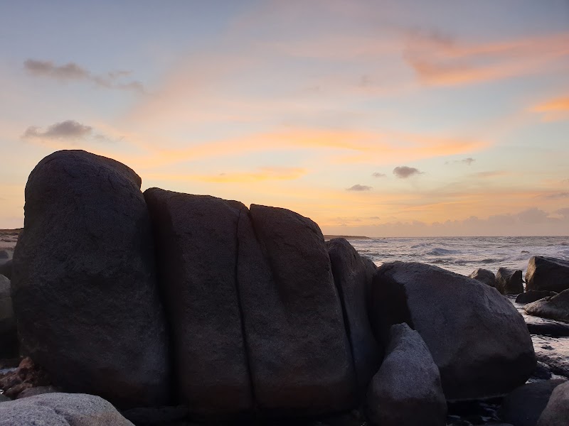 Photo 4 at Westpunt (Boca) in Noord