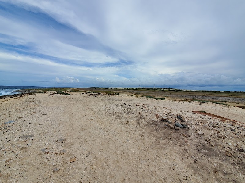 Photo 6 at Westpunt (Boca) in Noord