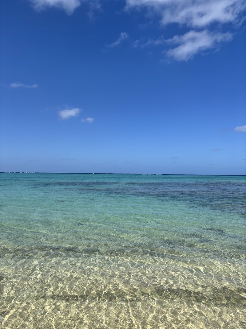 Photo 4 at Seven Colors in Ishigaki