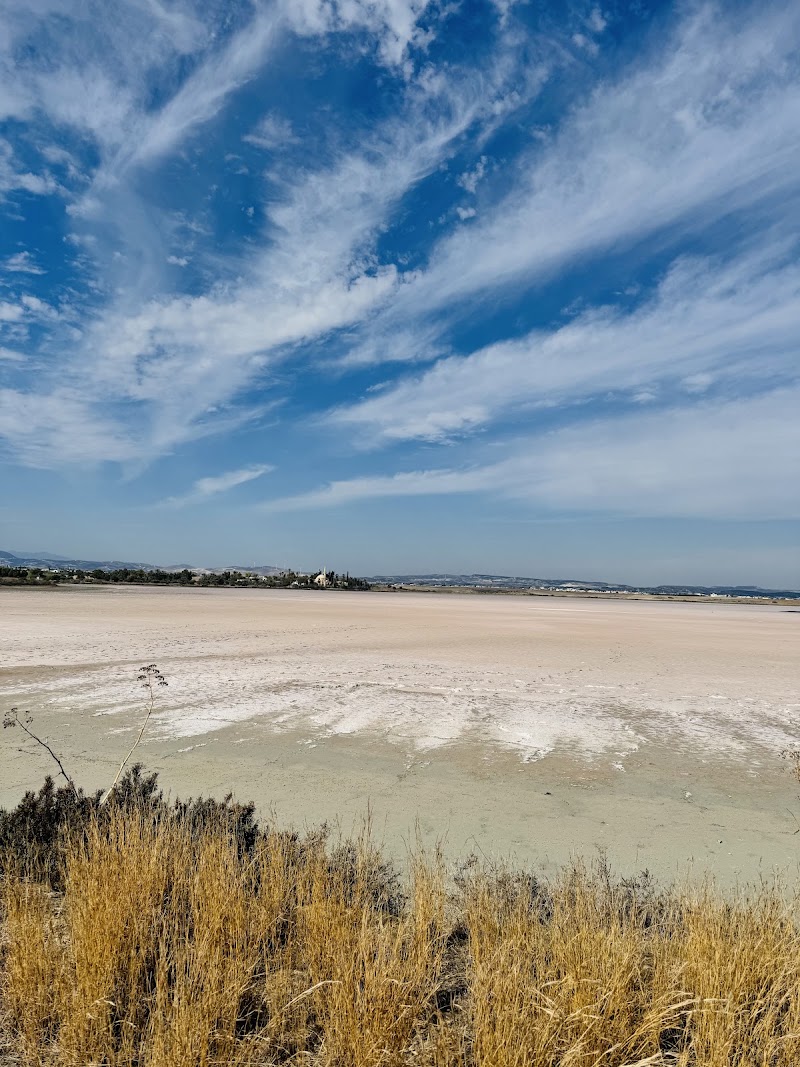 Photo 2 at Hala Sultan Tekke in Larnaka