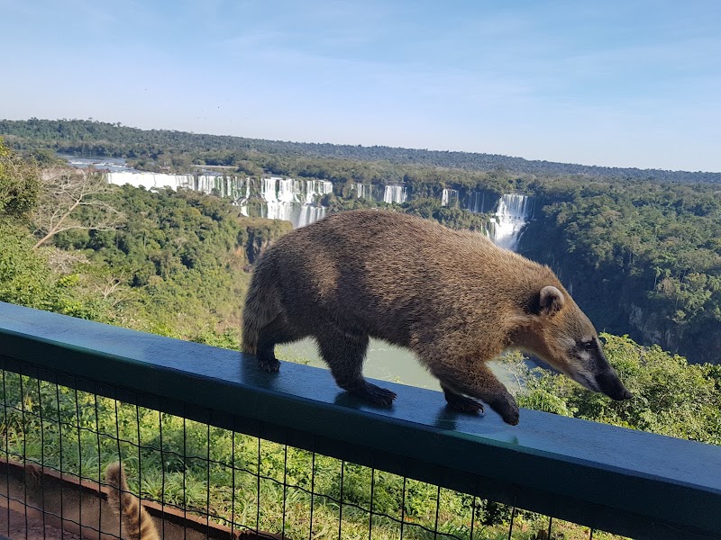 Photo 5 at Iguaçu National Park in 
