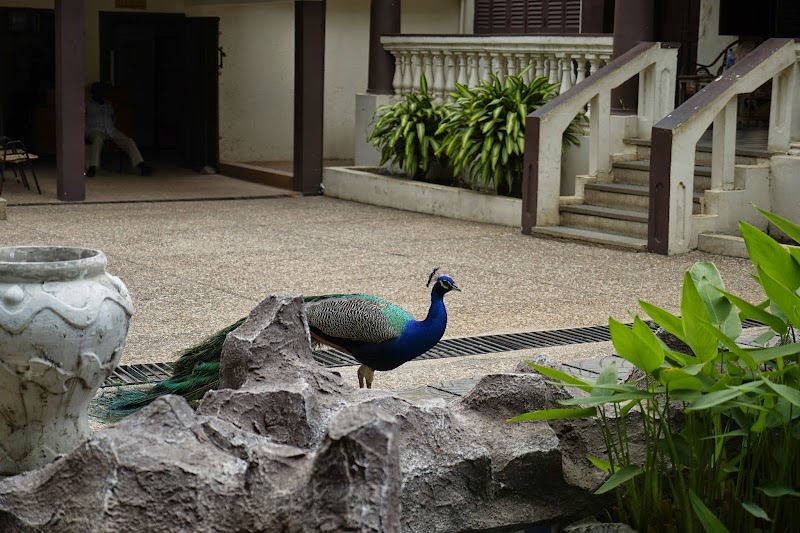 Photo 3 at Manhyia Palace Museum in Kumasi