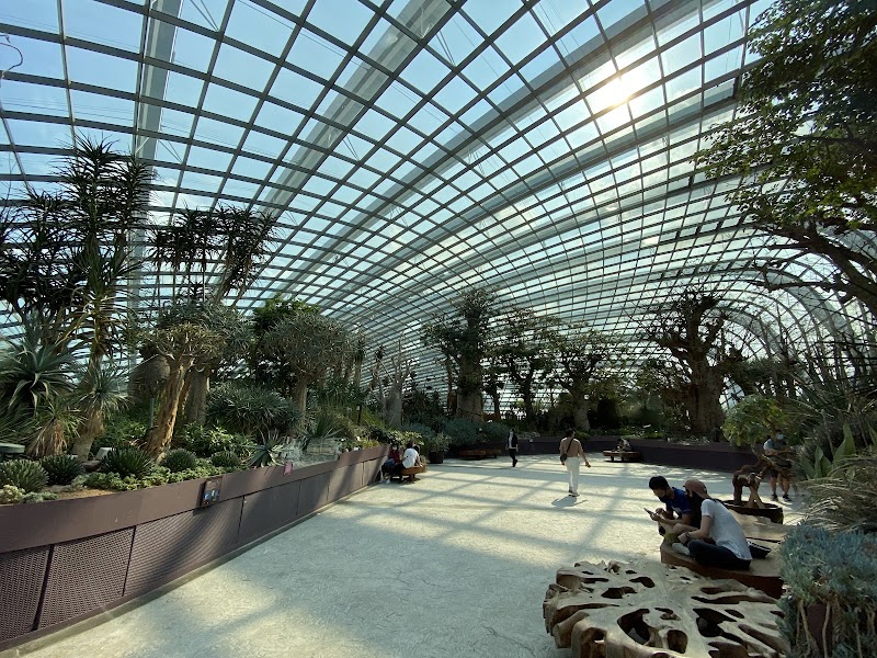 Photo 1 at Flower Dome in Singapore