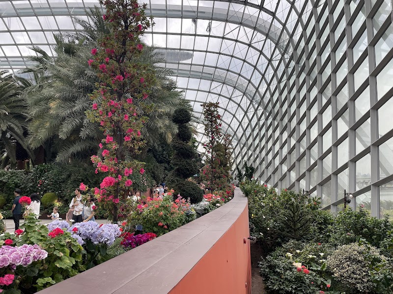 Photo 2 at Flower Dome in Singapore