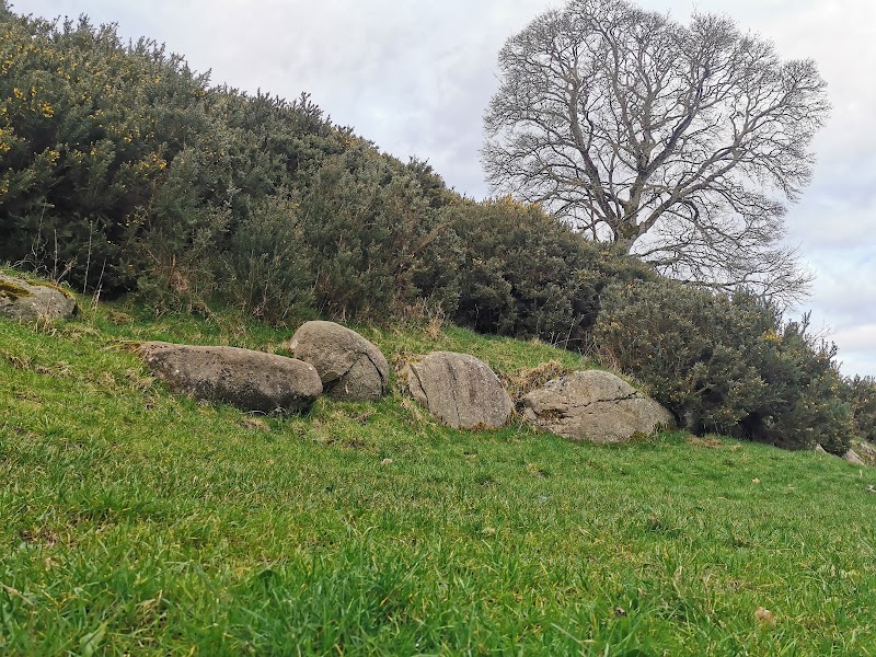 Photo 4 at Dowth Passage Tomb in 