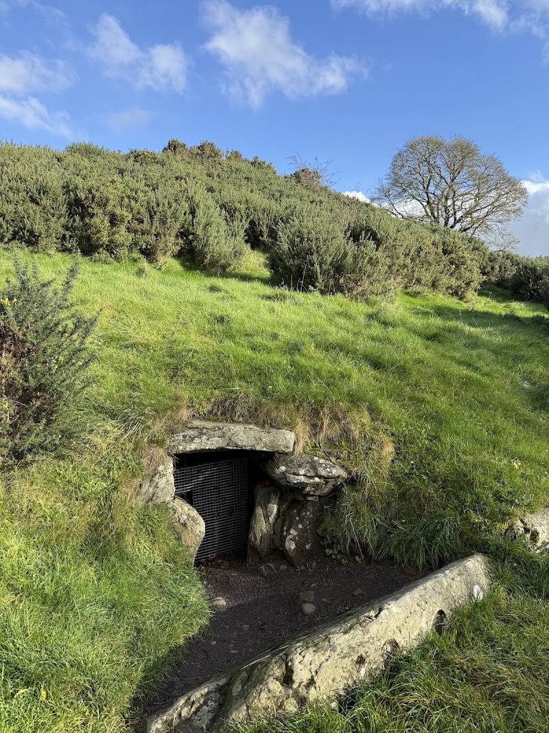 Photo 6 at Dowth Passage Tomb in 