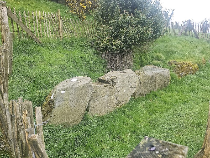 Photo 2 at Dowth Passage Tomb in 